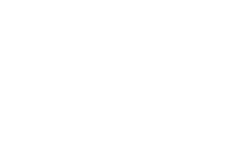 geekcon 新极棒 Logo