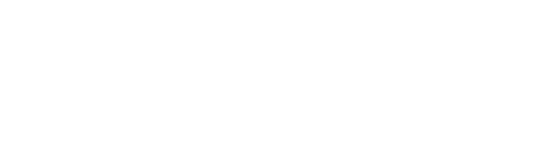 geekcon 新极棒 Logo